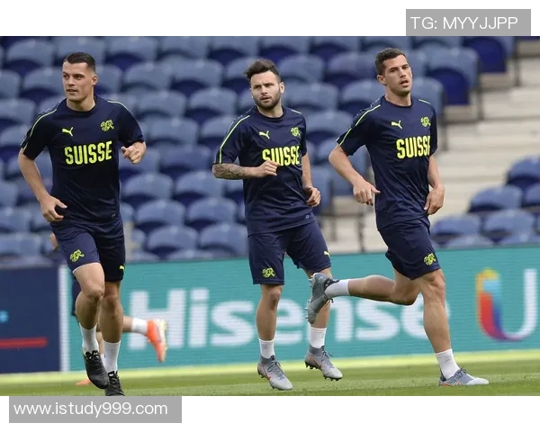 巴素利与锡昂的精彩对决揭示瑞士足球的魅力与竞争激烈性