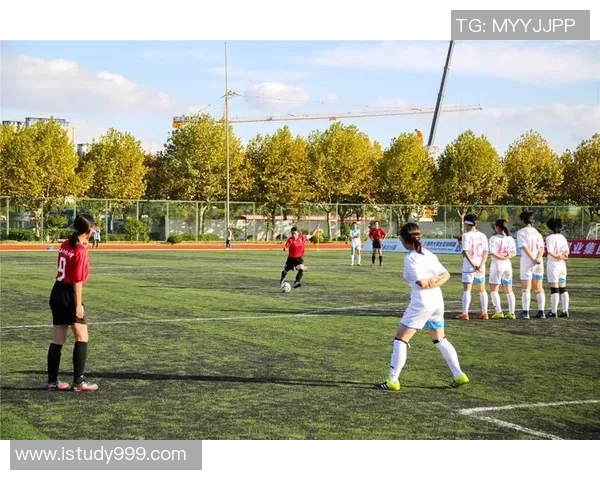 巴里与布雷西亚的激战分析及双方战术对比探讨