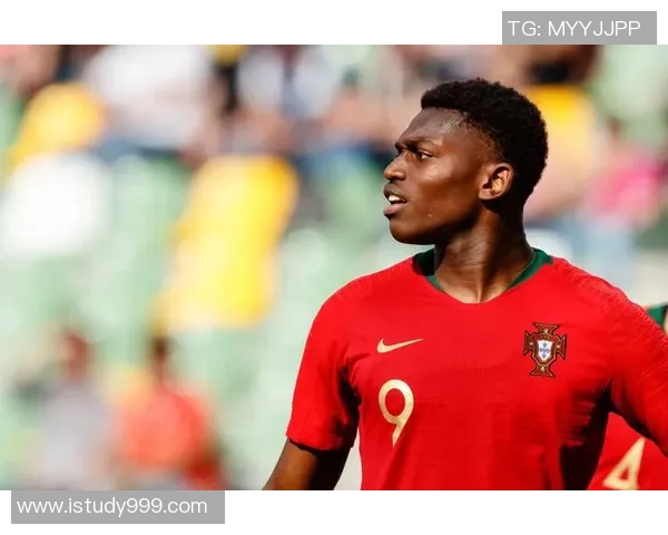 德国世界杯经典对决回顾加纳队的奋战与传奇时刻