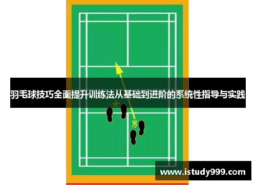 羽毛球技巧全面提升训练法从基础到进阶的系统性指导与实践