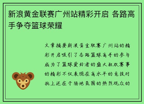 新浪黄金联赛广州站精彩开启 各路高手争夺篮球荣耀